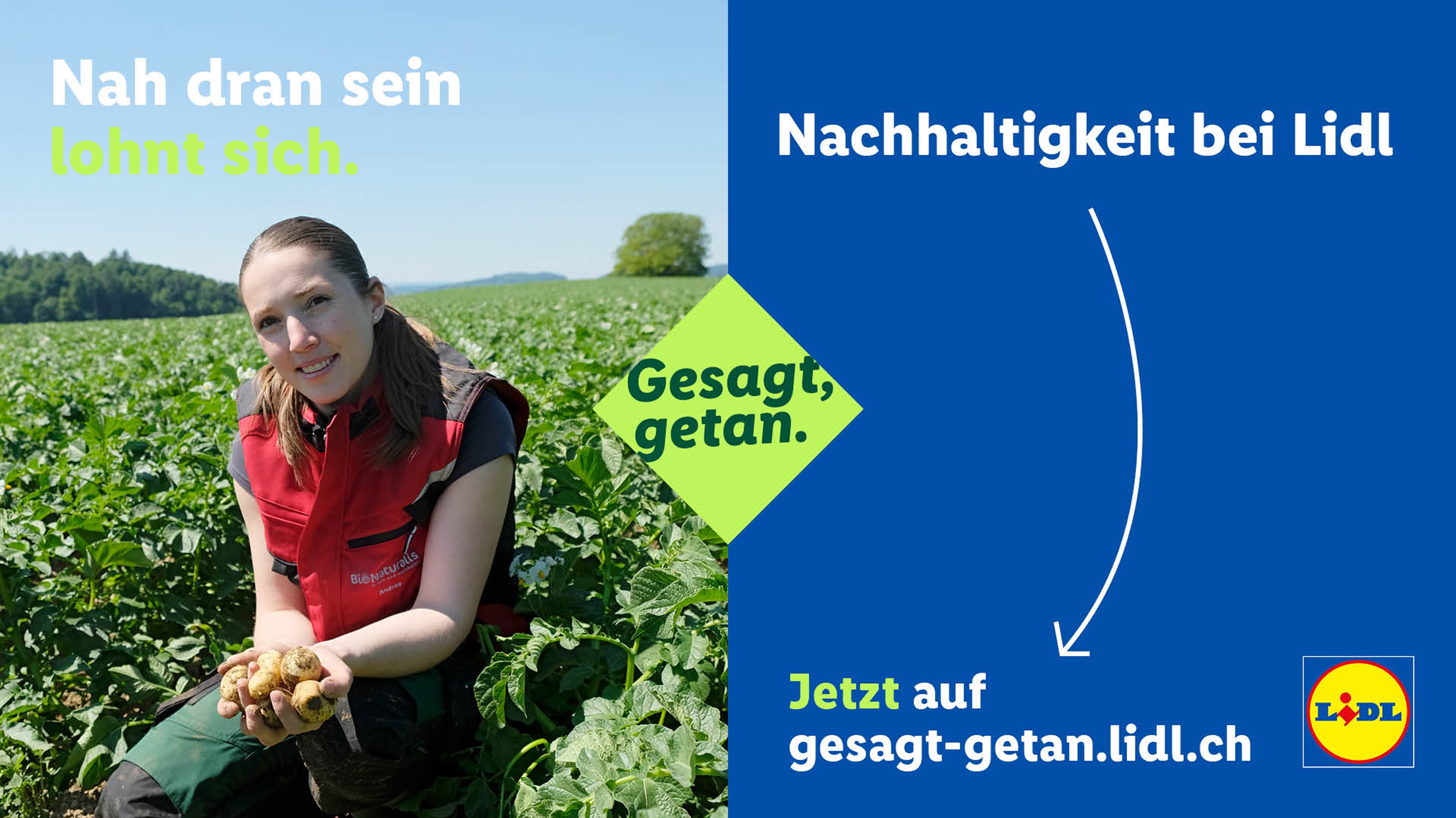 Referenzübersicht Lidl gesagt getan