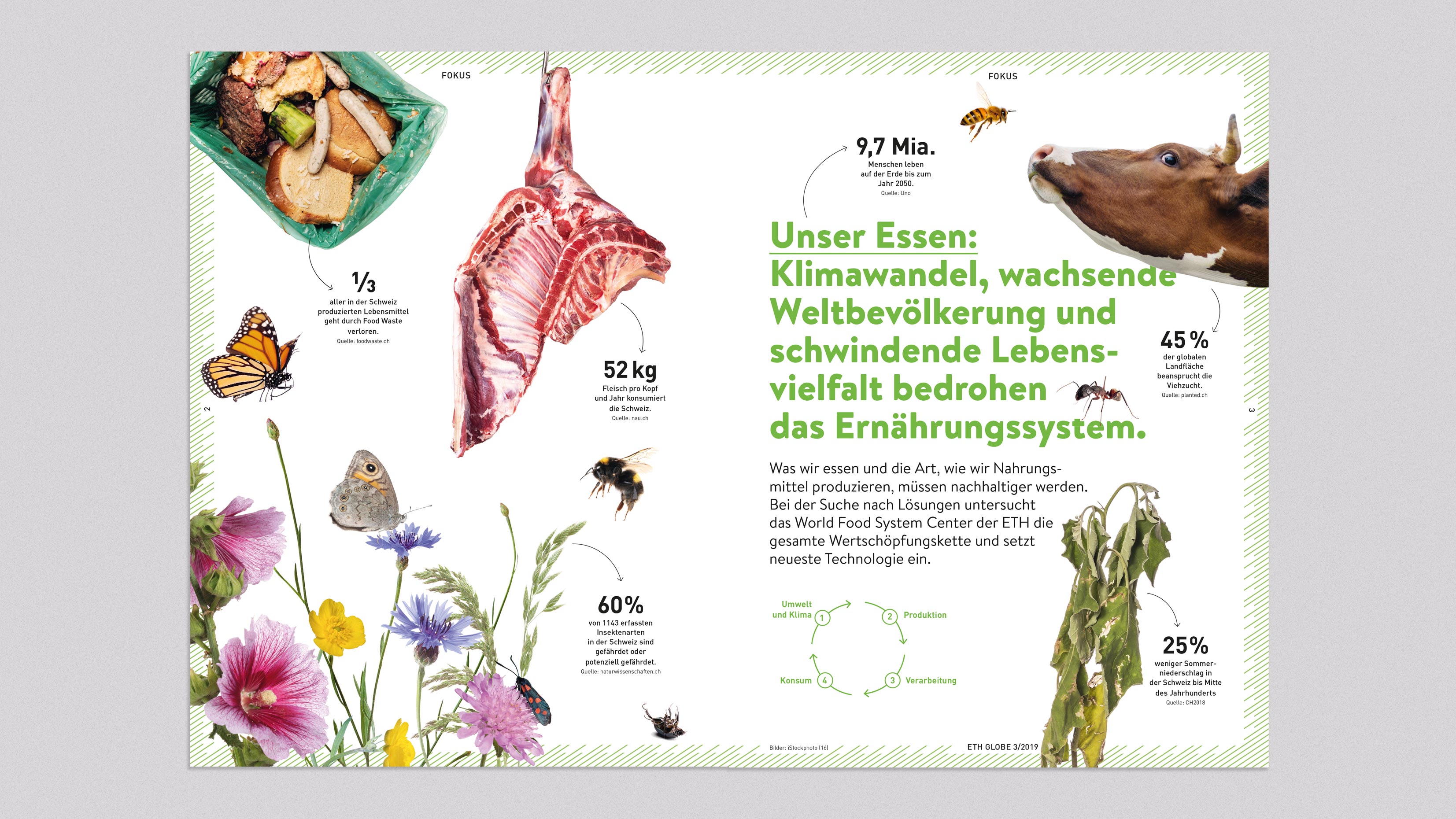 Eine Doppelseite des ETH Globe mit Informationen über Tiere und Pflanzen. Die Magazinseite enthält verschiedenen Objekten und Fakten zu unserem Essen.